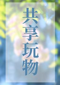 共享玩物np推荐