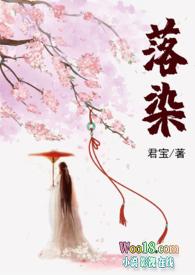 洛染全集