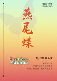 燕尾蝶讲的什么