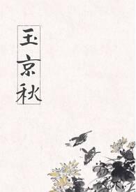 玉京秋知乎
