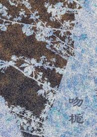 吻栀作者的其他作品