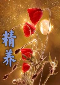 精养灵根气养神