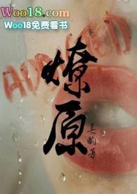 燎原讲的是什么故事