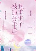重生分手后我看到了未来