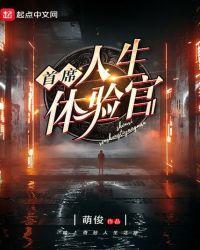 首席人生体验官 TXT