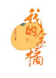 我的金桔弹唱吉他谱