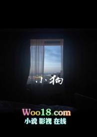 小狗开车