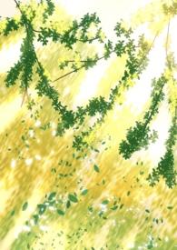 阴暗普女但第三者by笔趣阁全文