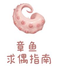 章鱼求偶指南txt免费全本阅读