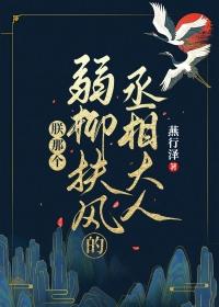 朕那个弱柳扶风的丞相大人完整版