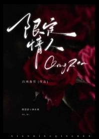 限定情人双男主讲的什么