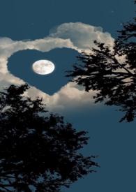 姐弟情深爱而不得的