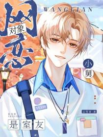 网恋对象是室友小舅by风诉