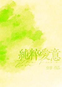 重度偏爱讲的什么