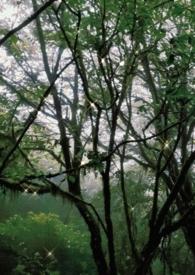 关于某古早校园文中的你by池枣