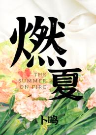 男主叫夏燃的