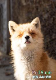 睡了反派男二之后(1v1)作者岭南摆