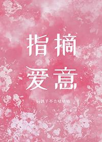 指摘爱意TXT免费