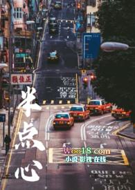 半点心(1v2)笔趣阁