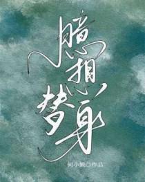 臆想替身番外by何小懒