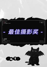 2020年度最佳摄影作品