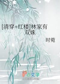 清穿 红楼林家长女
