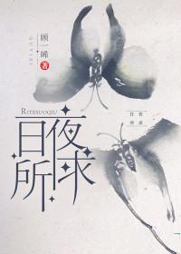 日夜所求讲什么故事