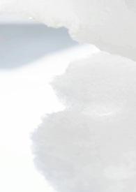 病娇校园模拟器汉化版