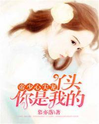 帝少的心尖儿宠阅读