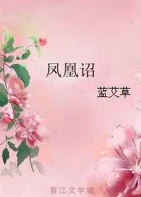 凤凰诏讲的什么
