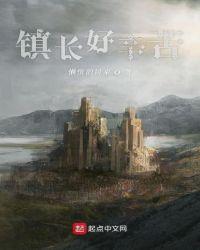 镇长做什么工作