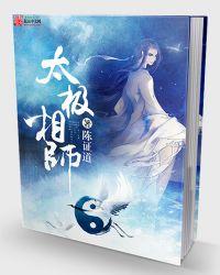 太极大师解说