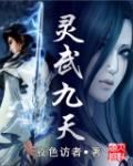 灵武九天全本