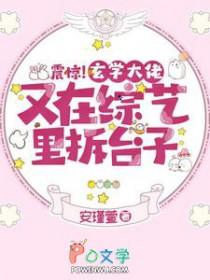 震惊玄学大佬又在综艺里拆台子txt