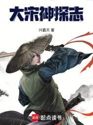 大宋无敌神探