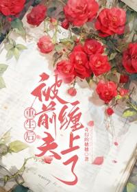 重生后前夫来追我了