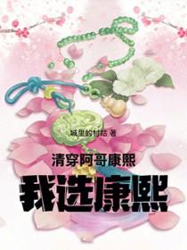 清穿阿哥康熙我选康熙城里的村姑