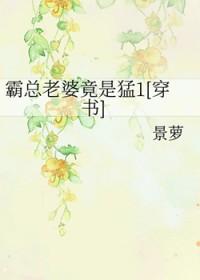 霸总宠妻之路
