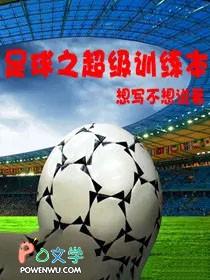 我的超级足球训练场
