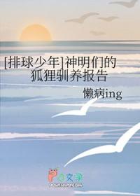 排球少年狐狸兄弟