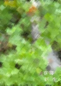 新芽新燕可以加盟吗