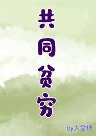 共同贫穷和贫富不均哪个好