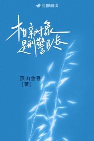 相亲对象是刑警队长百度