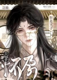 朕是天子岂能怀孕!作者残灯无焰