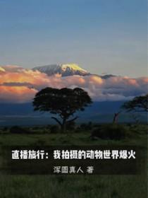 现场直播动物世界