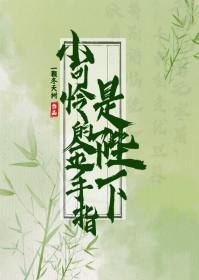 小可怜手握爽文剧本txt 百度