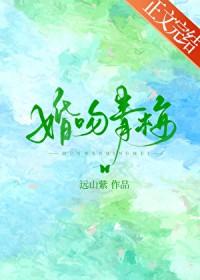婚吻青梅by远山紫番外