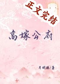 高嫁公府好看吗