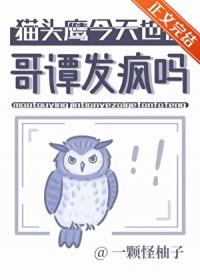 哥谭猫头鹰法庭结局