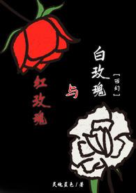 红玫瑰与白玫瑰故事梗概